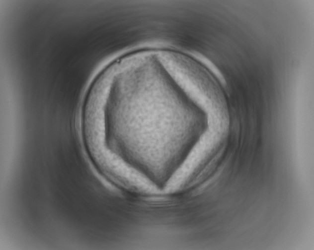 X0000113641343200910091529