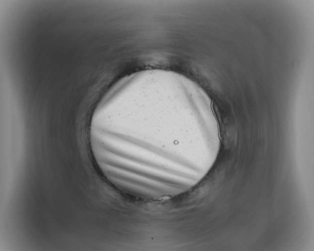 X0000113641345200910091528