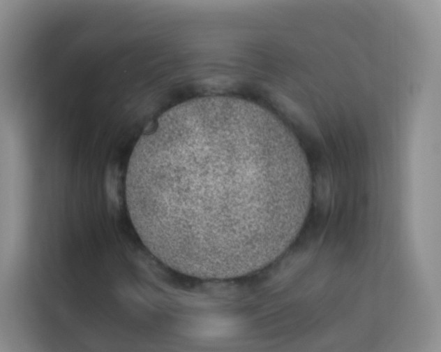 X0000113641346200910091528