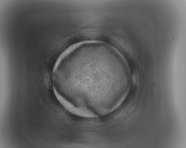 X0000113641347200910091528