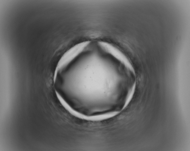 X0000113641349200910091528