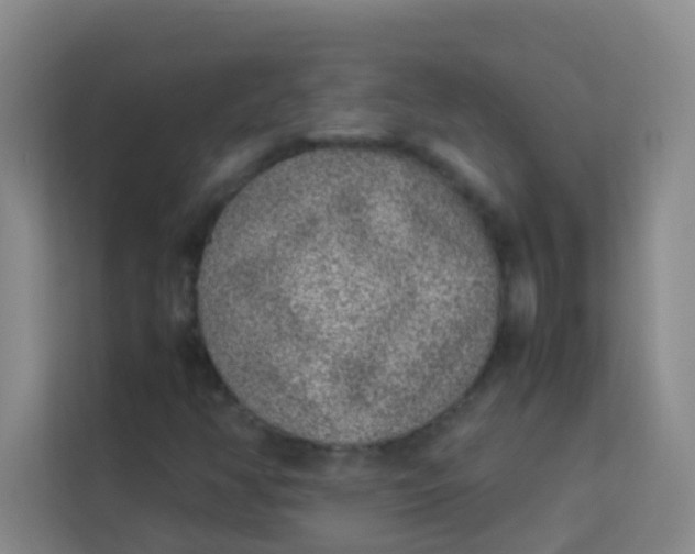 X0000113641350200910091528