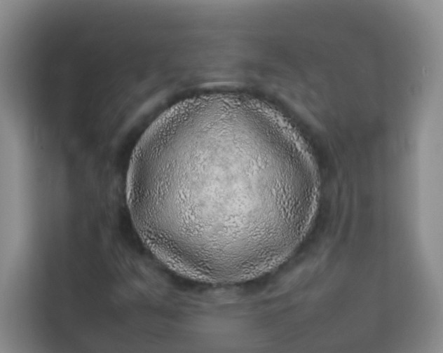 X0000113641351200910091528