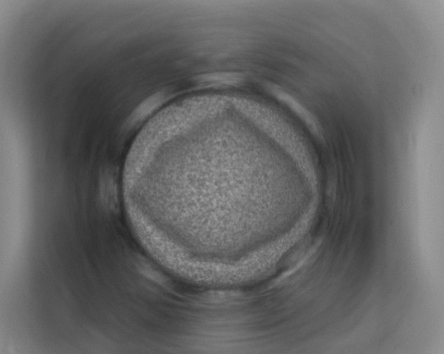 X0000113641354200910091528