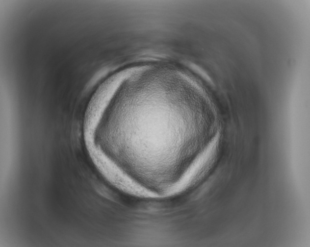 X0000113641355200910091528