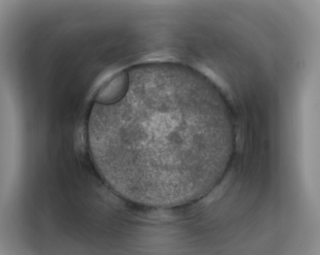 X0000113641358200910091528