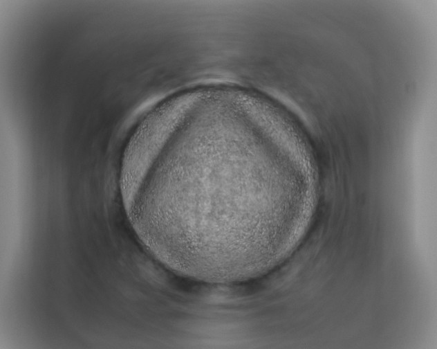 X0000113641359200910091528