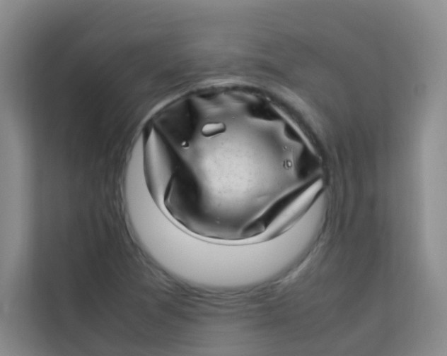 X0000113641361200910091528