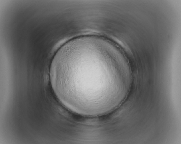 X0000113641363200910091528