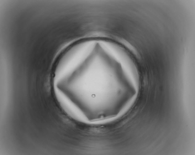 X0000113641364200910091528