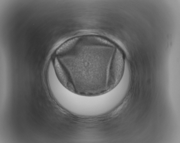 X0000113641365200910091528