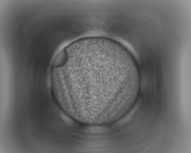 X0000113641366200910091528