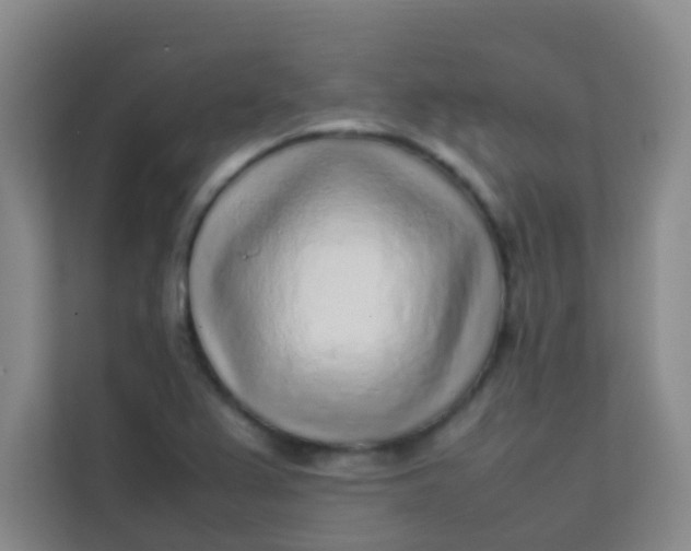 X0000113641367200910091528