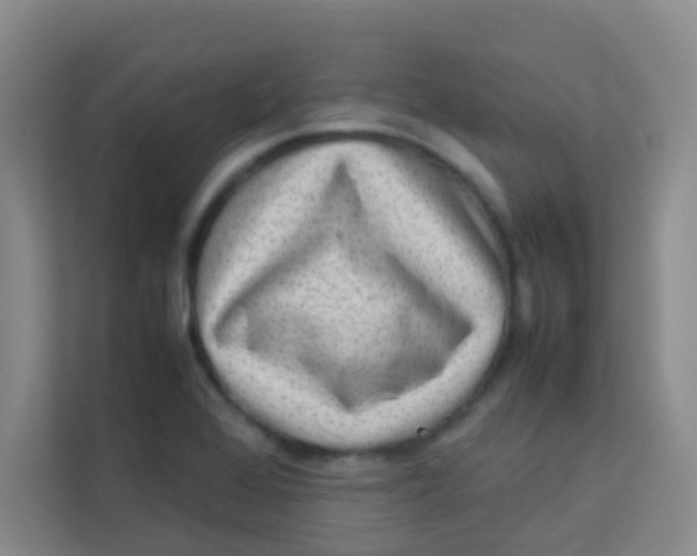 X0000113641368200910091528