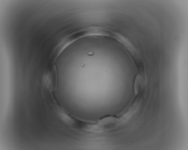 X0000113641369200910091528