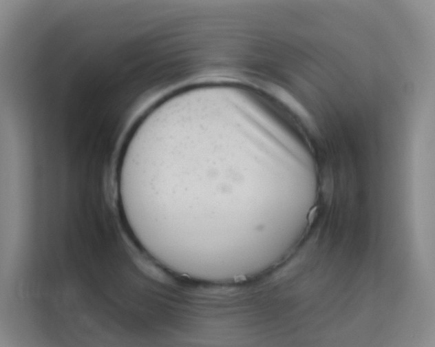 X0000113641372200910091528