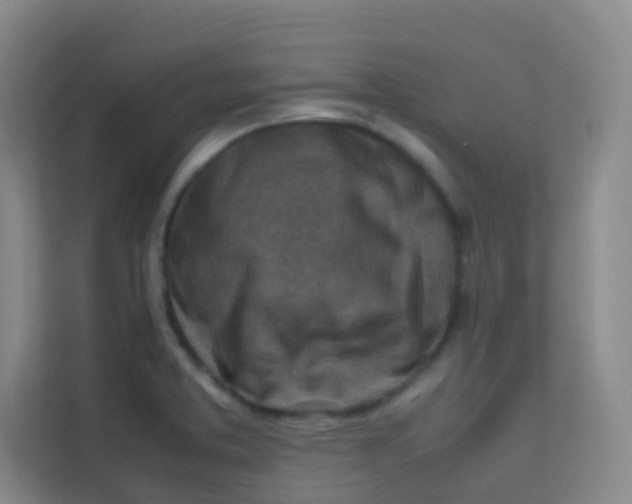 X0000113641373200910091528