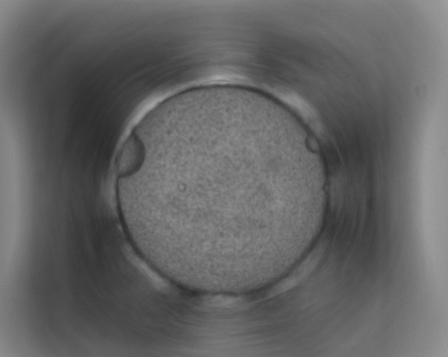 X0000113641374200910091528