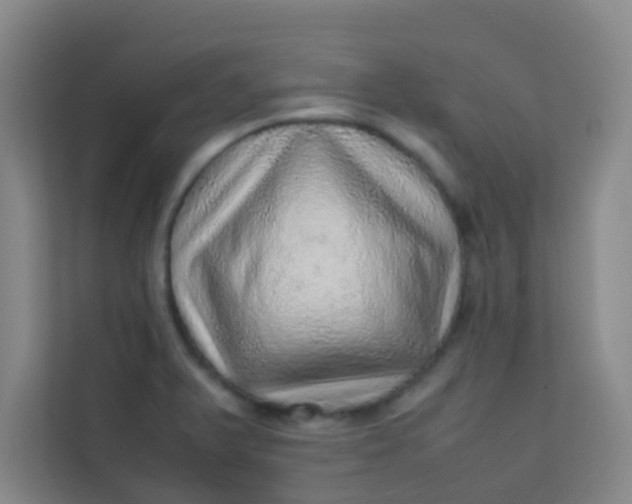 X0000113641375200910091528