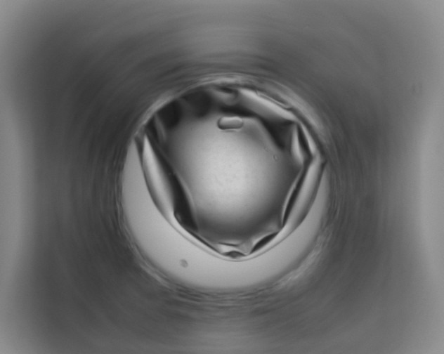 X0000113641377200910091528