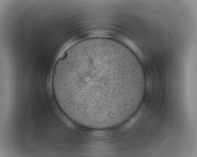 X0000113641378200910091528