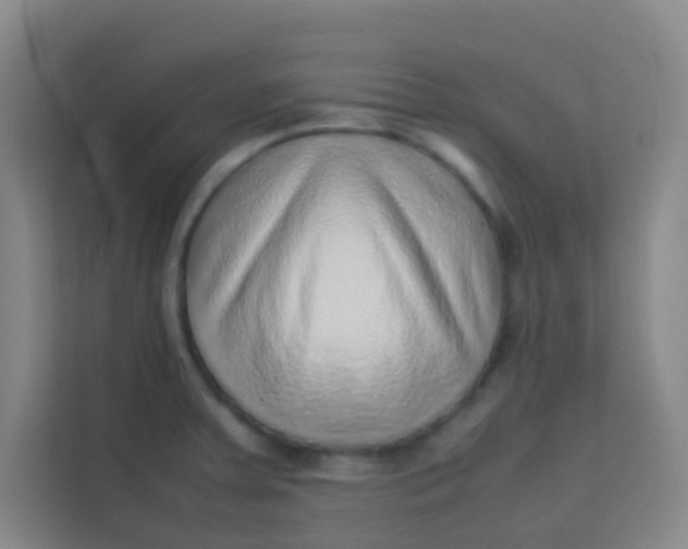 X0000113641379200910091528