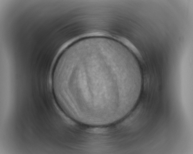 X0000113641380200910091528