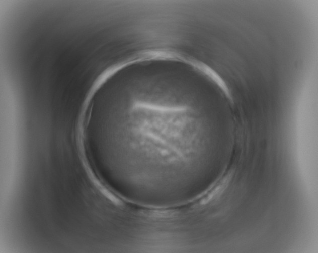 X0000113641381200910091528