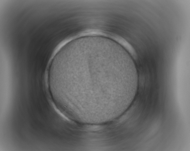 X0000113641382200910091528