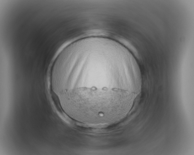 X0000113641383200910091528