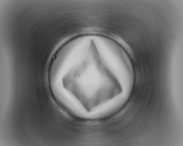 X0000113641384200910091528