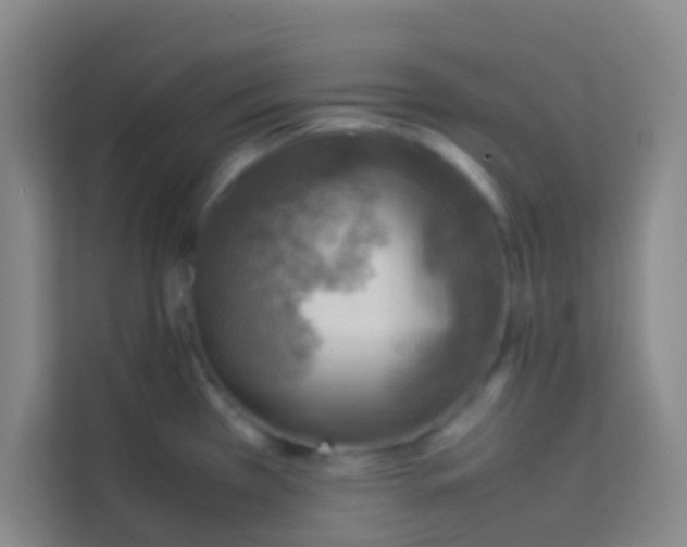 X0000113641385200910091528