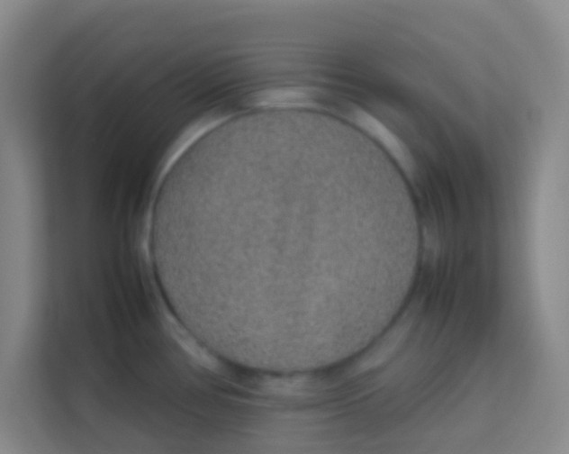 X0000113641386200910091528