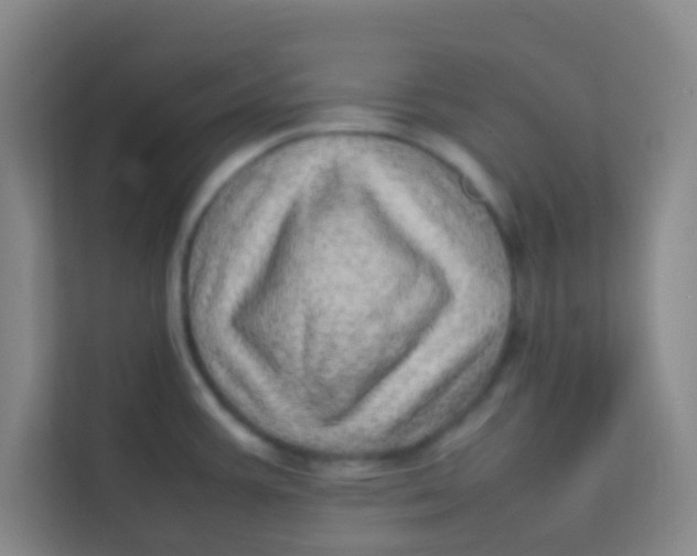 X0000113641387200910091528