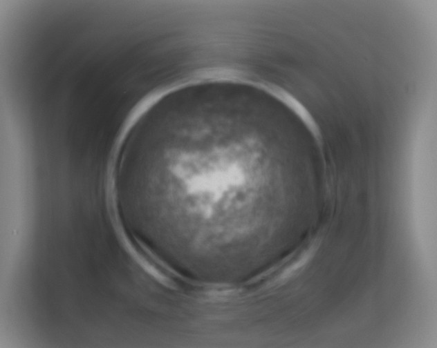 X0000113641389200910091528