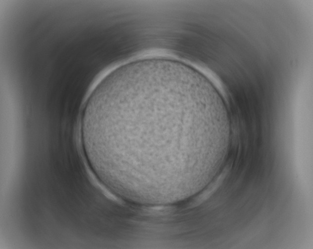 X0000113641390200910091528