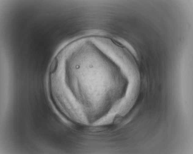 X0000113641391200910091528