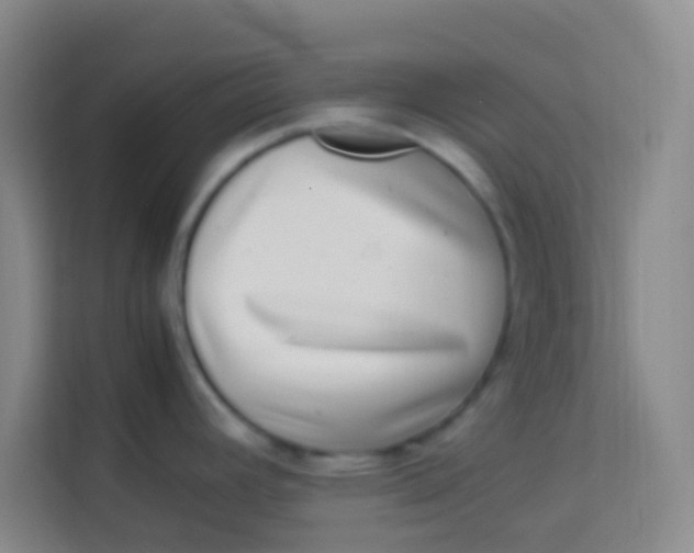 X0000113641392200910091528