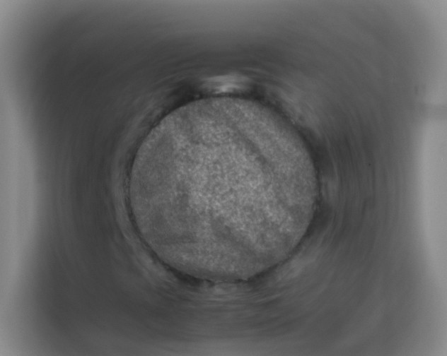 X0000113641393200910091527