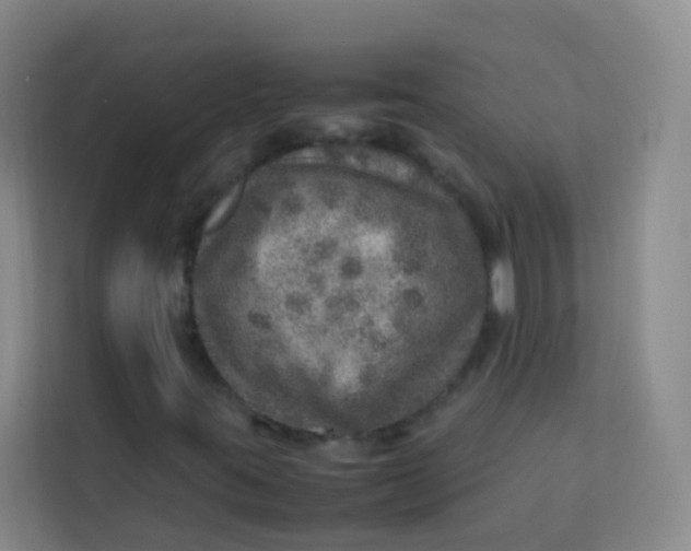 X0000113641395200910091527