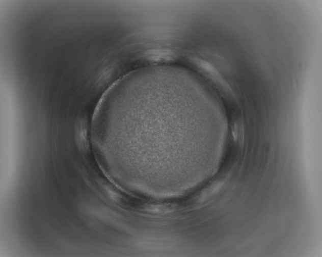 X0000113641396200910091527