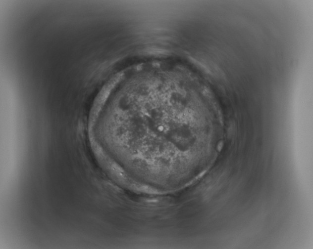 X0000113641397200910091527