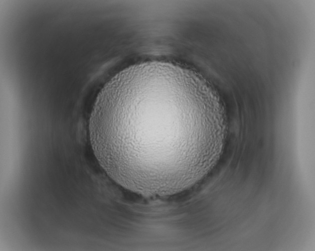 X0000113641398200910091527