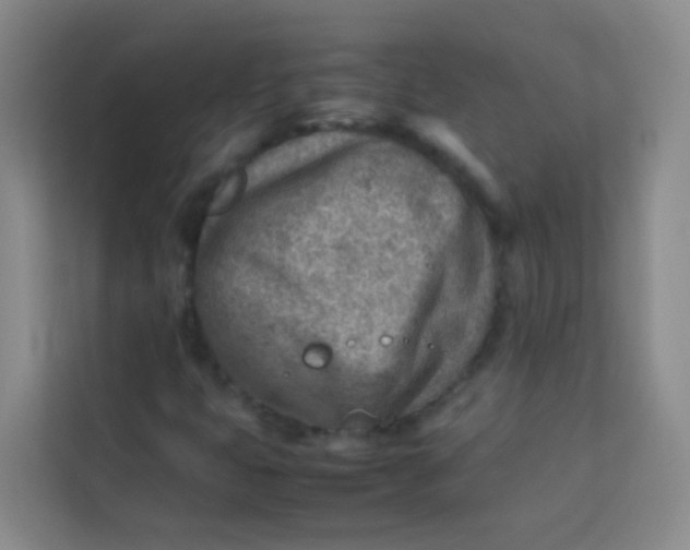 X0000113641399200910091527