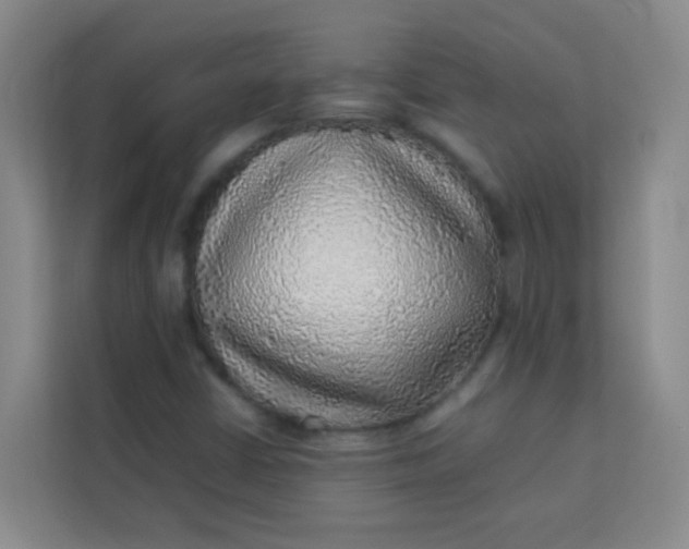 X0000113641402200910091527