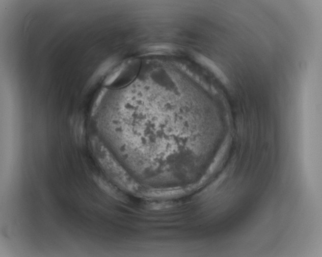 X0000113641403200910091527