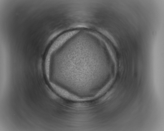 X0000113641404200910091527