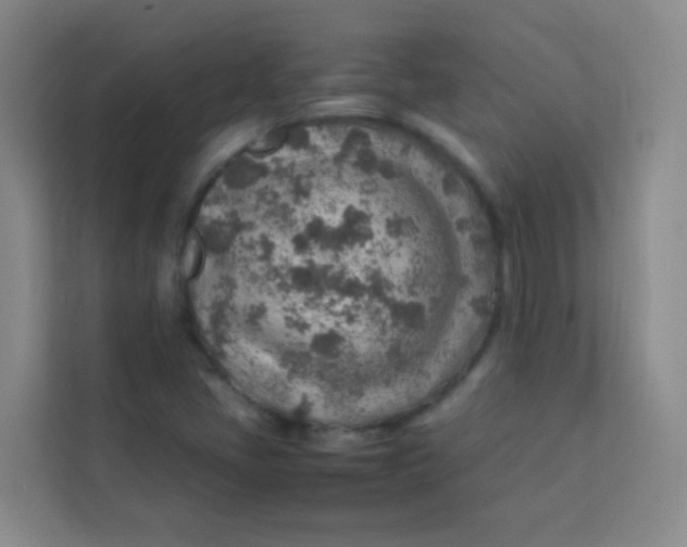 X0000113641405200910091527