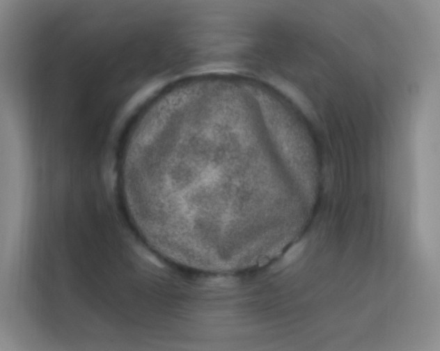 X0000113641406200910091527