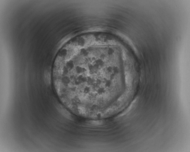 X0000113641409200910091527